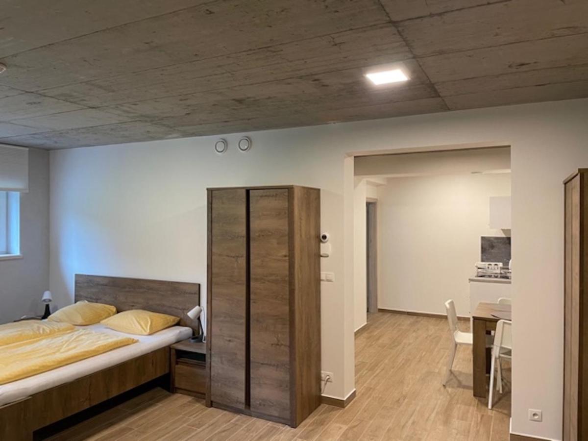 Apartmany Bila Nisa Bedřichov Εξωτερικό φωτογραφία